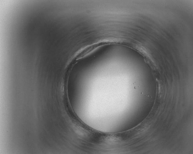 X0000069390348200605262122