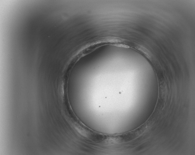 X0000069390350200605262122