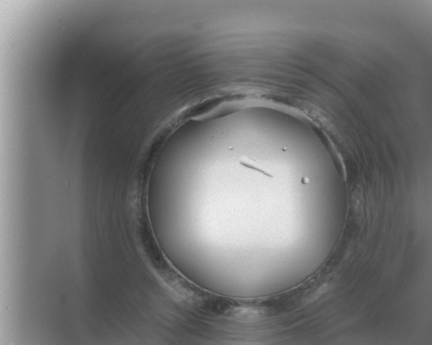 X0000069390352200605262122