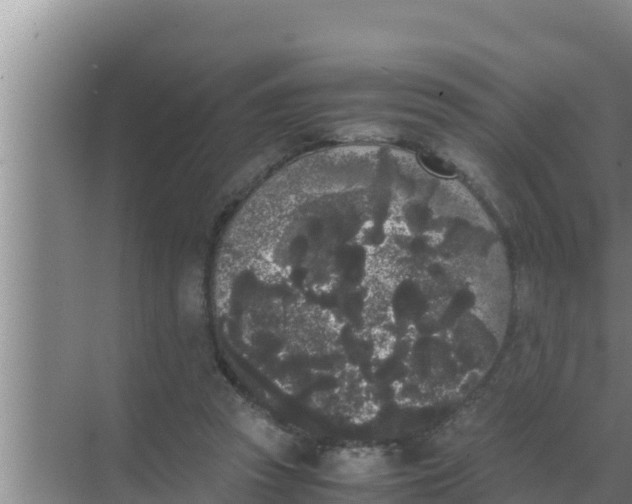 X0000069390353200605262122