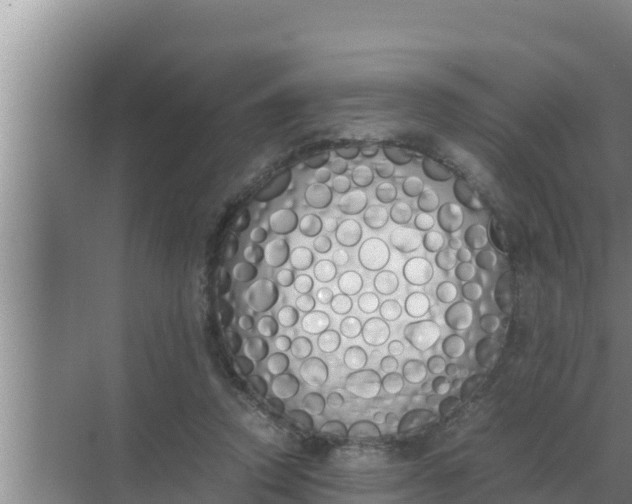 X0000069390354200605262122