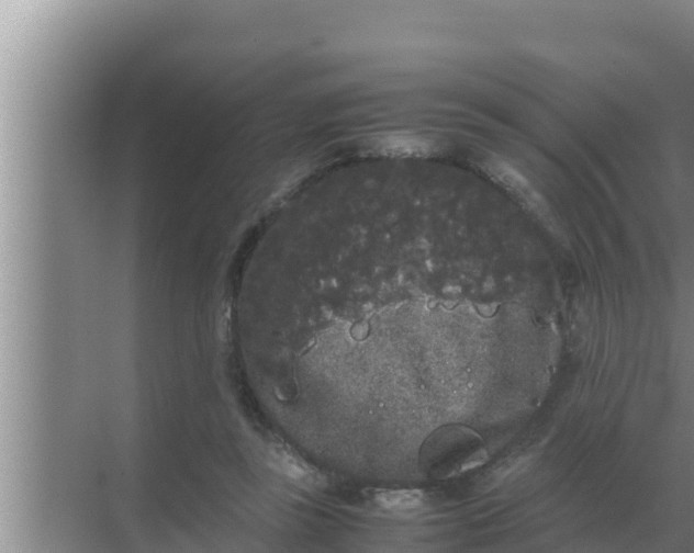 X0000069390355200605262122