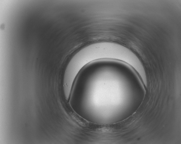 X0000069390356200605262122