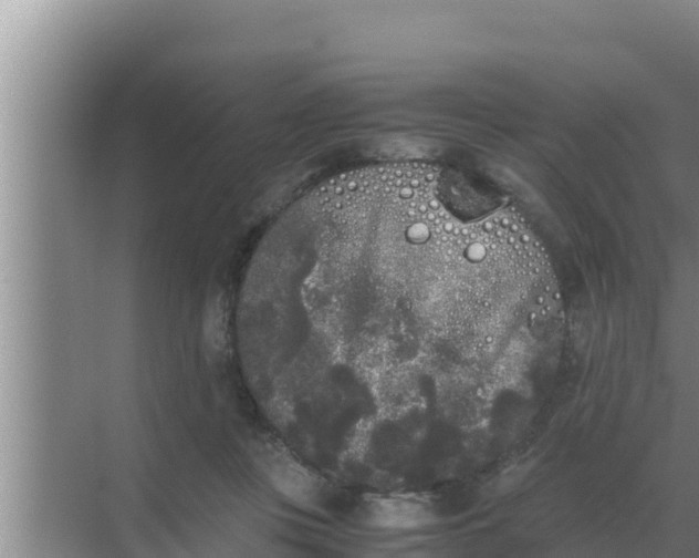 X0000069390359200605262122