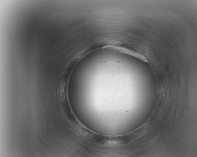 X0000069390360200605262122