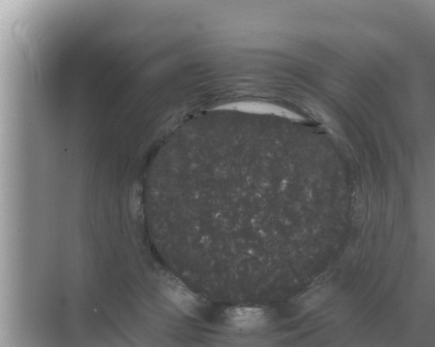 X0000069390361200605262122