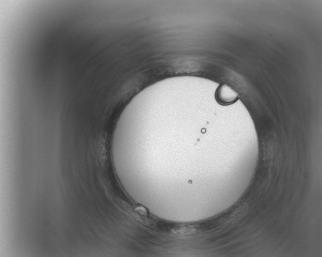 X0000069390362200605262122