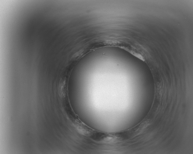 X0000069390364200605262122