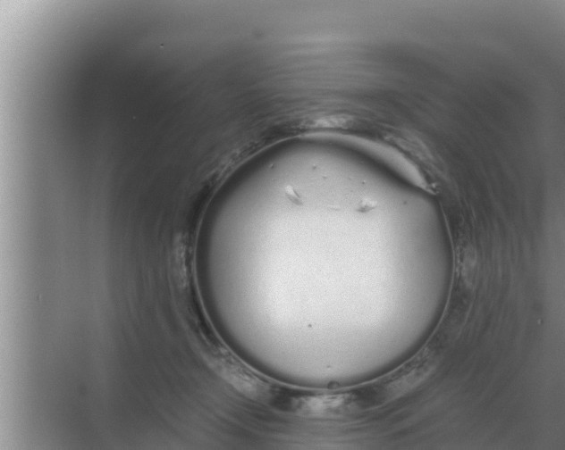 X0000069390366200605262122