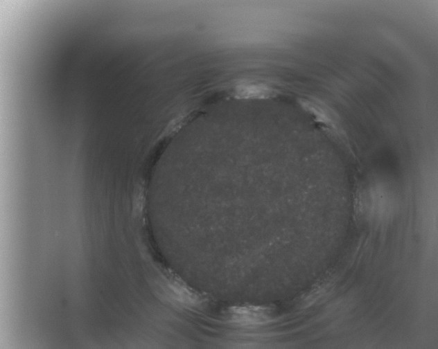 X0000069390367200605262122