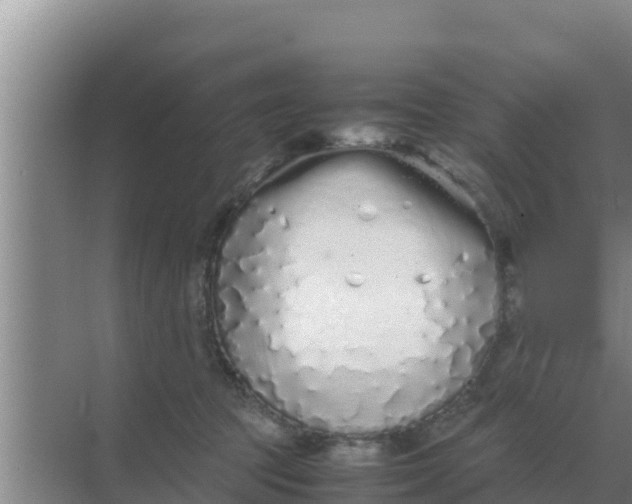 X0000069390369200605262122