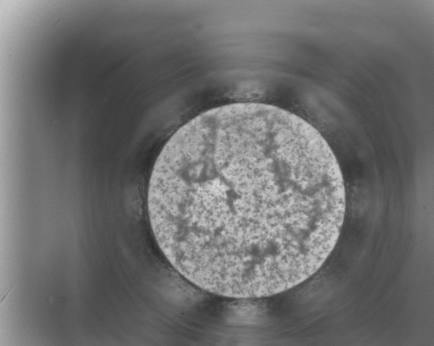 X0000069390370200605262122