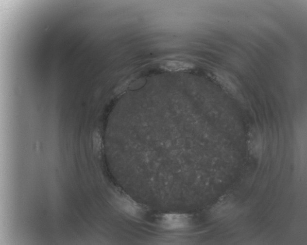 X0000069390371200605262122