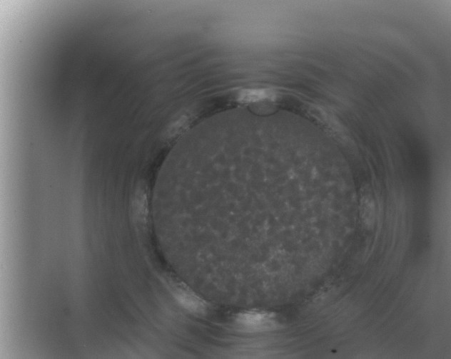 X0000069390375200605262123