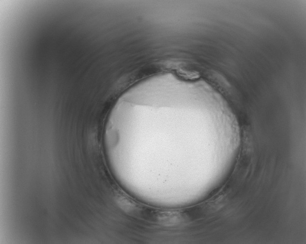 X0000069390377200605262123