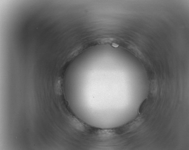 X0000069390378200605262123