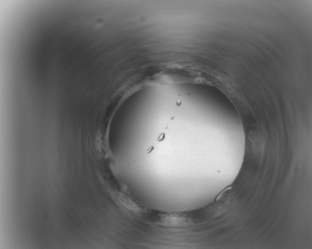 X0000069390380200605262123