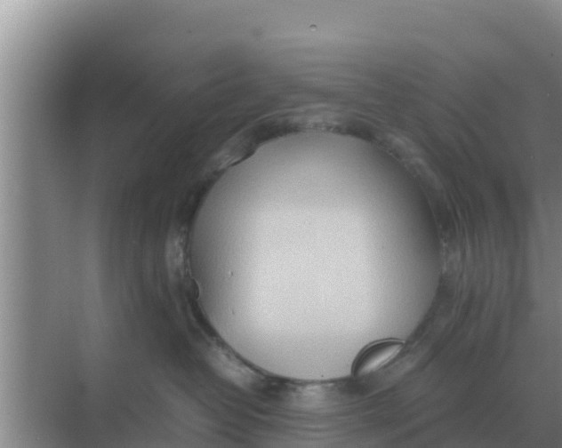 X0000069390382200605262123