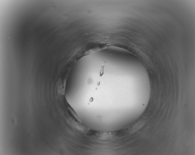 X0000069390384200605262123