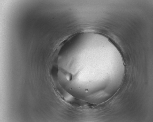 X0000069390385200605262122