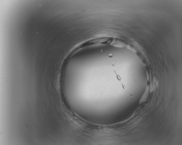 X0000069390387200605262122