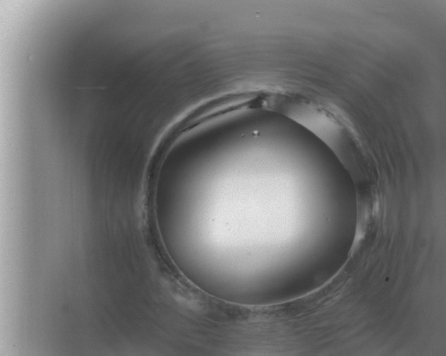 X0000069390388200605262122