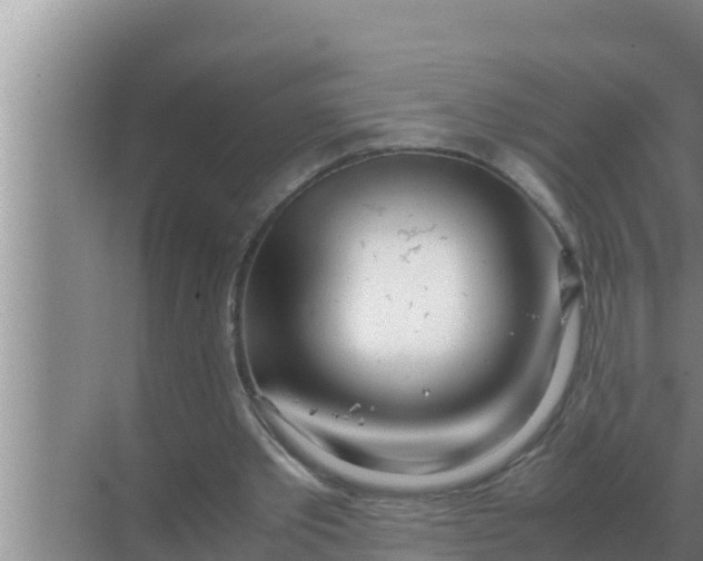 X0000069390389200605262122