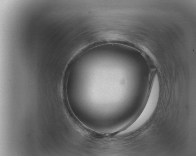 X0000069390391200605262122