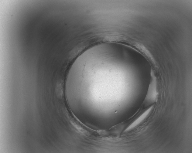 X0000069390393200605262122