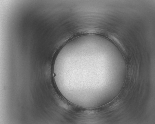 X0000069390394200605262122