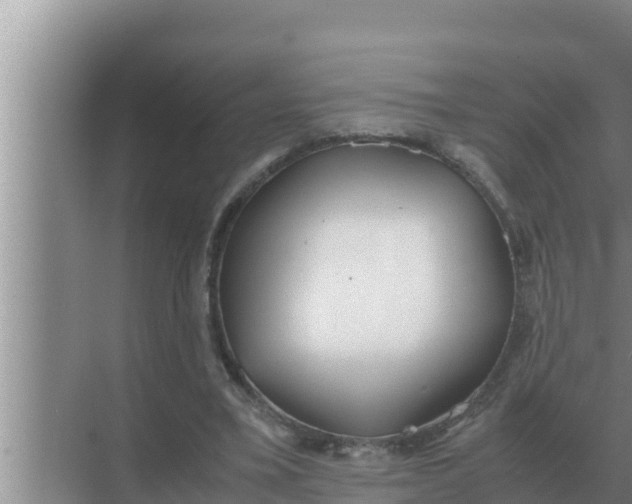 X0000069390395200605262122