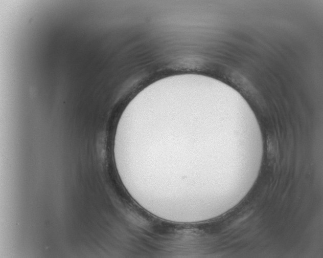 X0000069390396200605262122