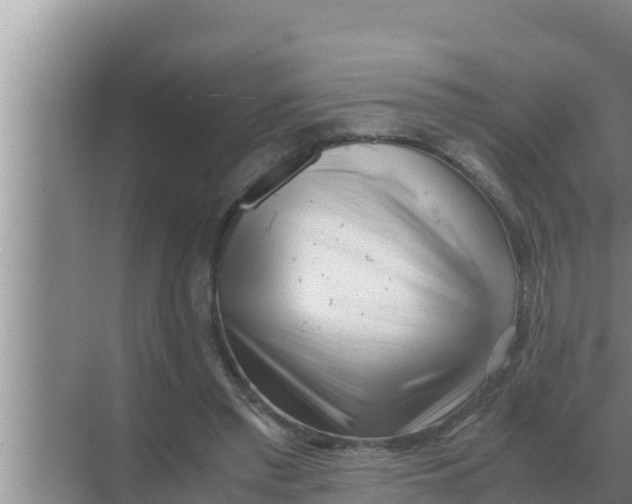 X0000069390397200605262122