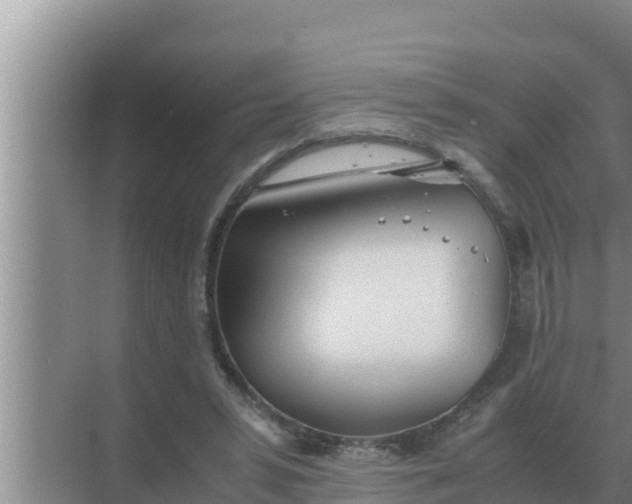 X0000069390399200605262122