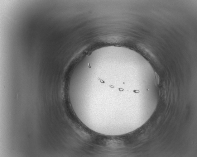 X0000069390400200605262122