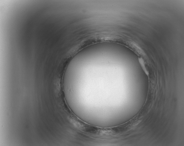 X0000069390401200605262122