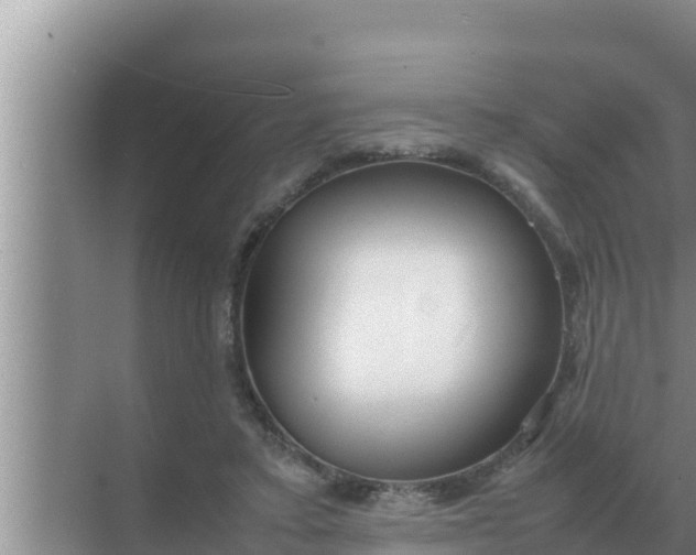 X0000069390403200605262122