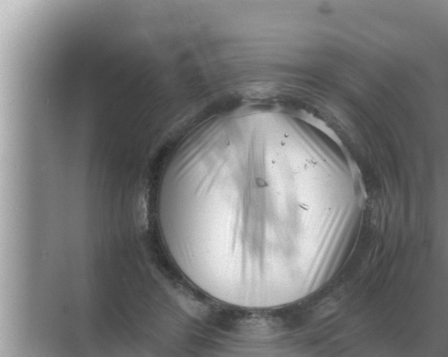 X0000069390404200605262122