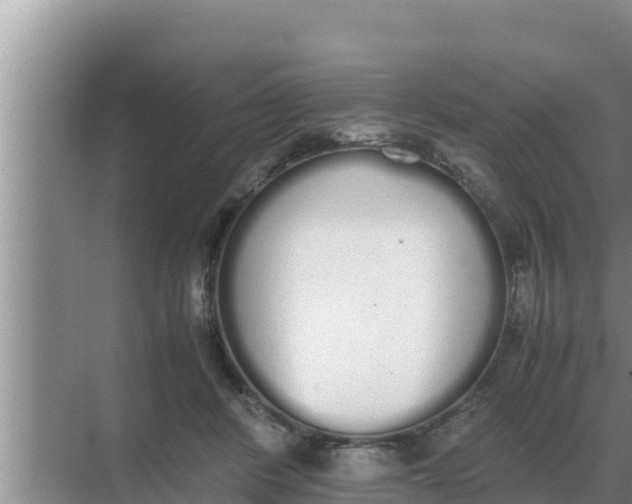 X0000069390408200605262122