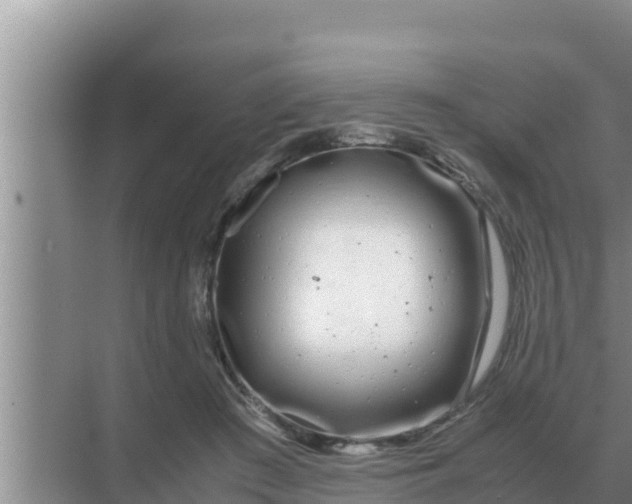 X0000069390409200605262121