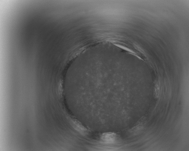 X0000069390410200605262121