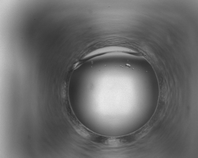 X0000069390413200605262121