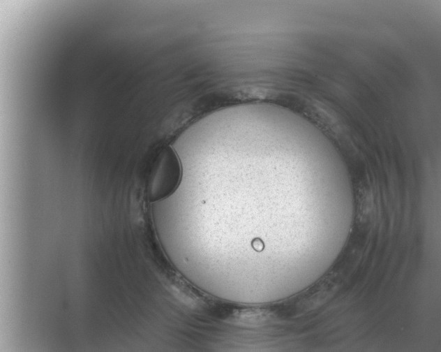 X0000069390414200605262121