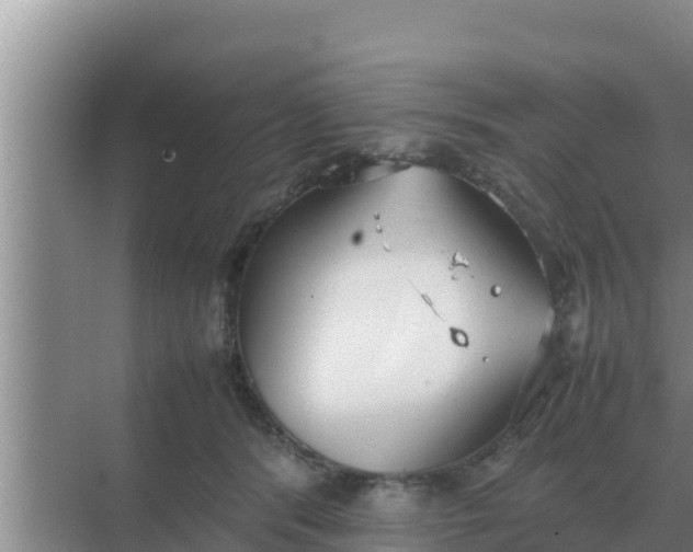 X0000069390416200605262121