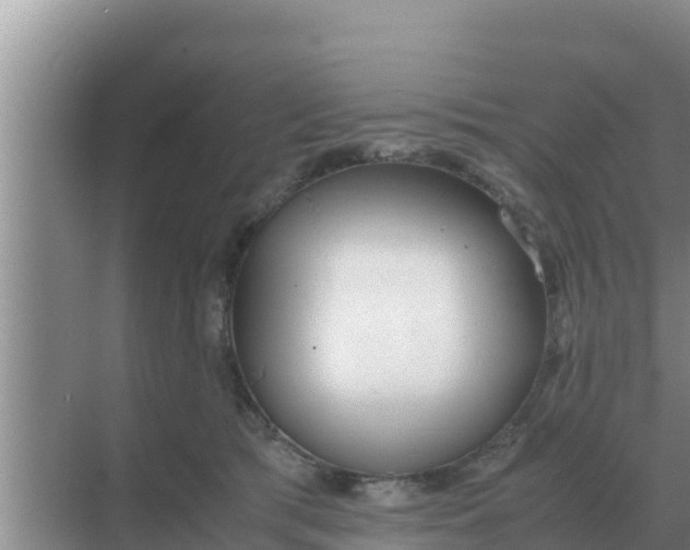 X0000069390417200605262121