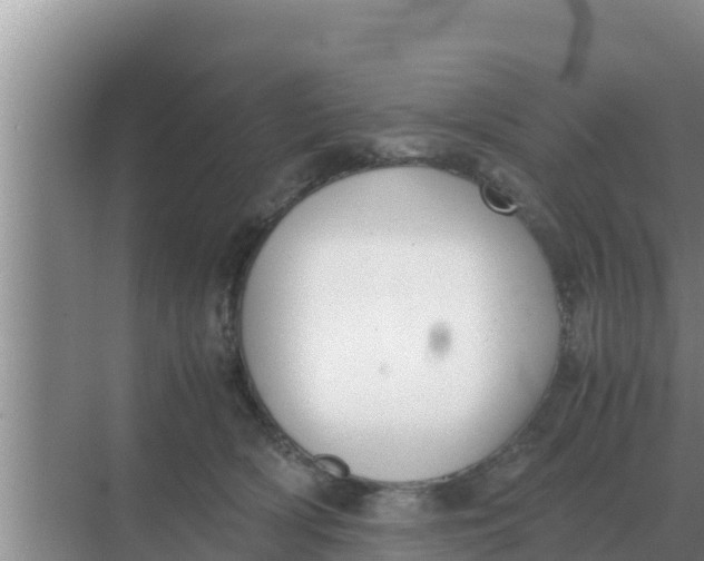 X0000069390418200605262121