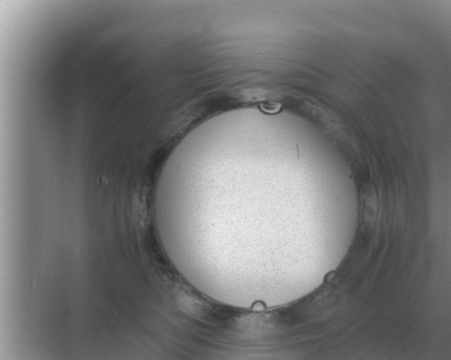 X0000069390422200605262121