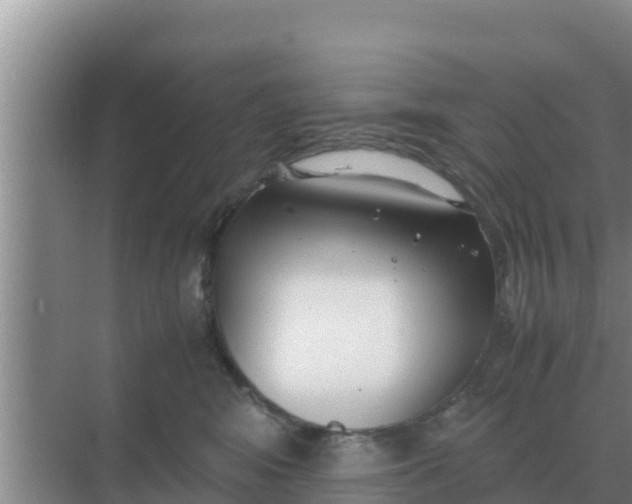 X0000069390424200605262121