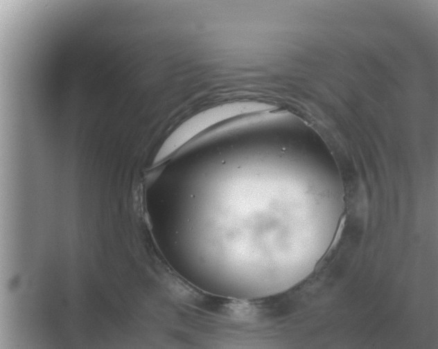 X0000069390425200605262121