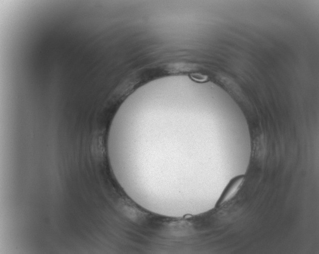 X0000069390426200605262121